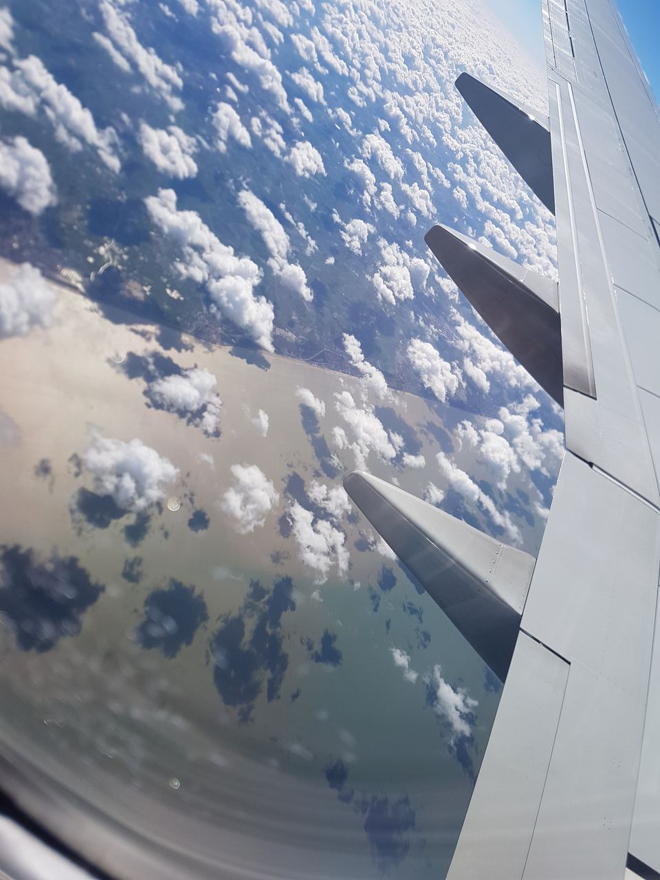 20190404_133918.jpg