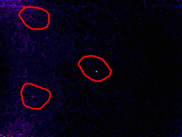 026181331_processed.jpg